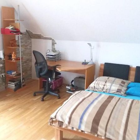 Neue, Helle Wohnung In Ludwigsburg, Nah Am Schloss المظهر الخارجي الصورة